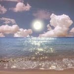 Simón Gallardo Avatar